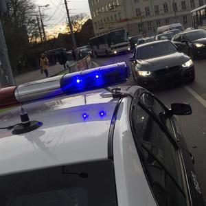 田渊正浩与左野由真主演电影有哪些
